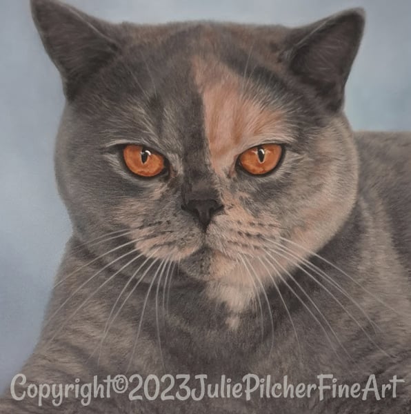 8" x 10" Pastel Portrait Commission of your favourite pet.