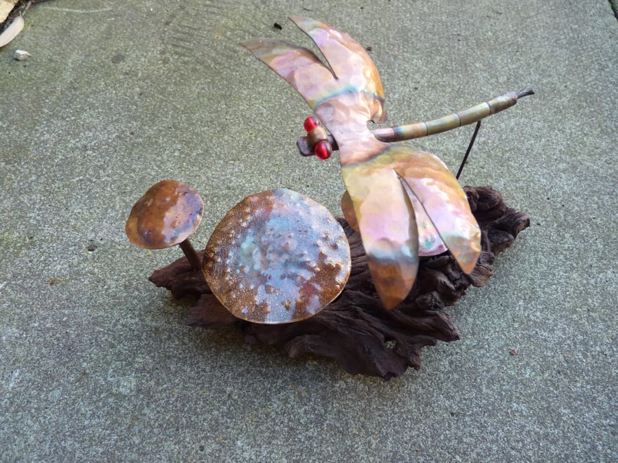 Dragonfly and mushrooms sculpture set in mopani root.