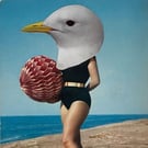 Sea Bird A2