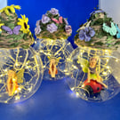 fairy jars