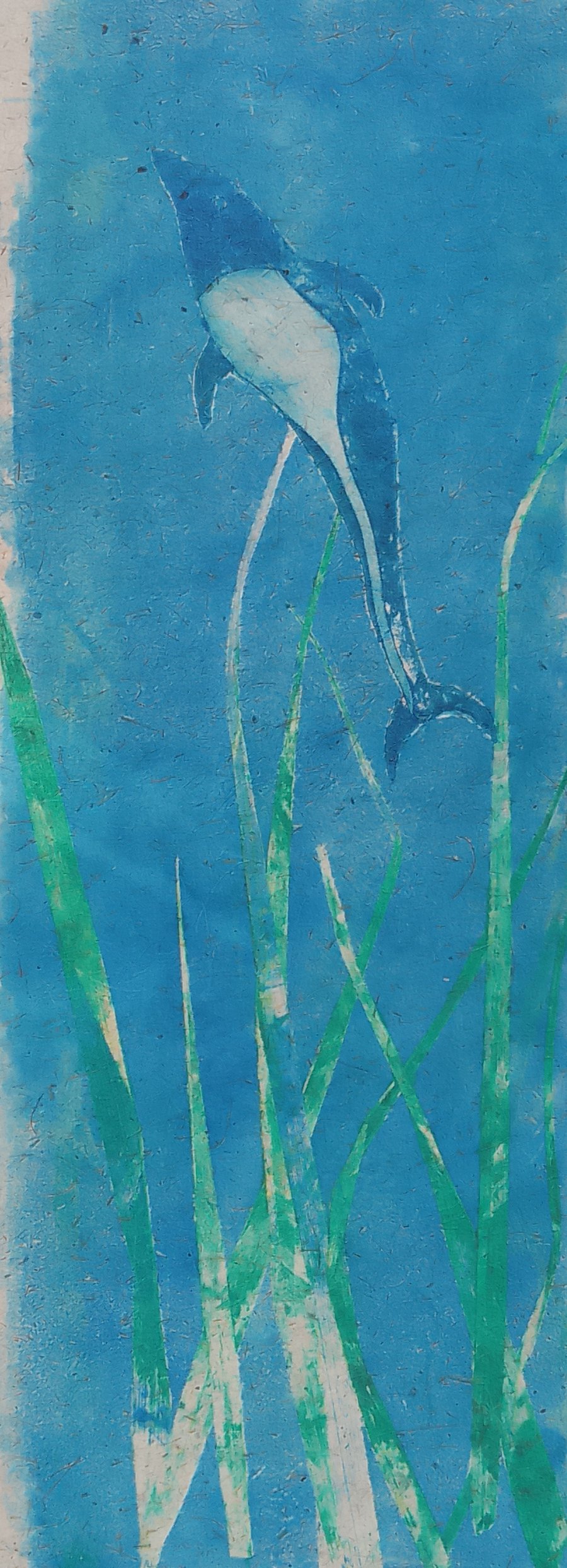 Framed monoprint ocean VI, northern right whale dolphin 