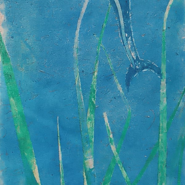 Framed monoprint ocean VI, northern right whale dolphin 