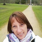 Lily Innovation Design