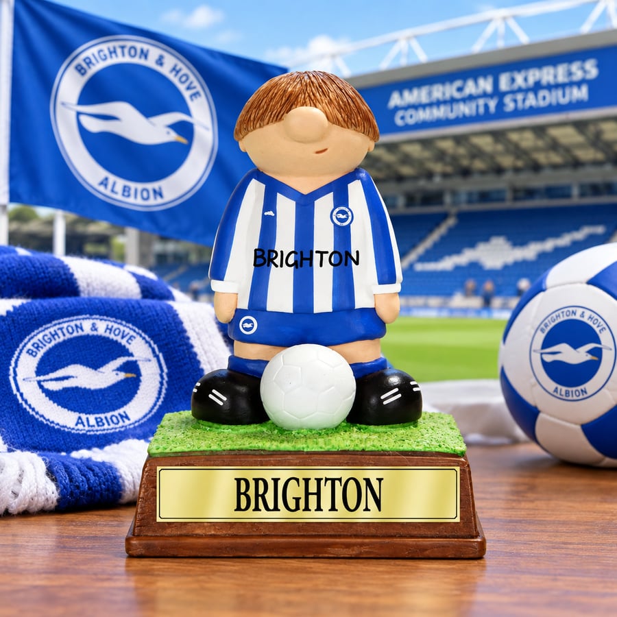 Image of Brighton Hove Albion FC Birthday Retirement Gift. Personalised Present Football 