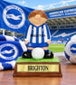 Brighton Hove Albion FC Birthday Retirement Gift. Personalised Present Football 