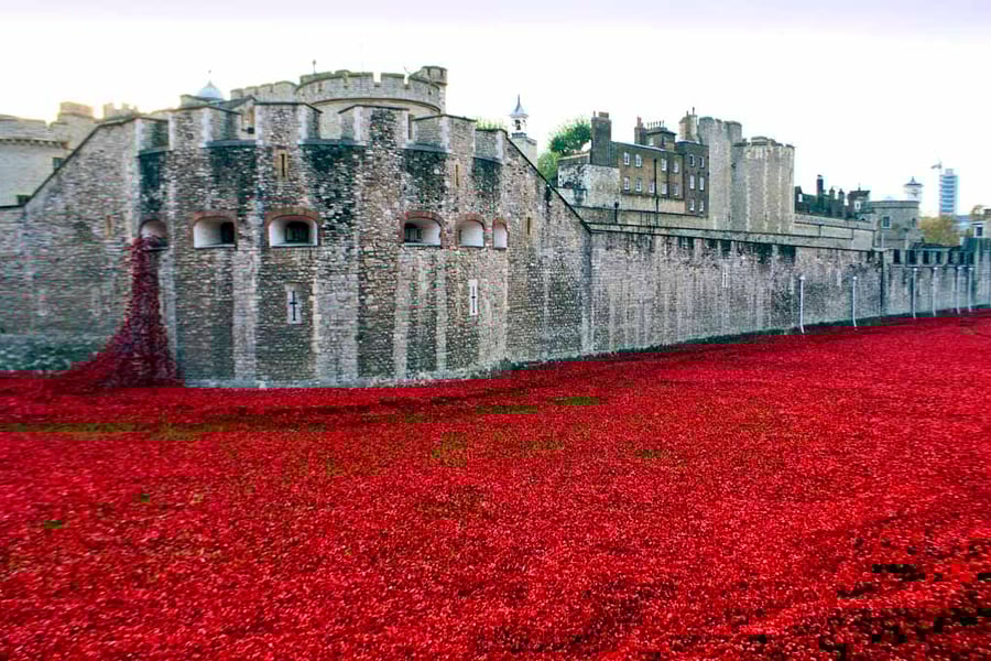 Tower of London Red Poppies England UK Photograph Print