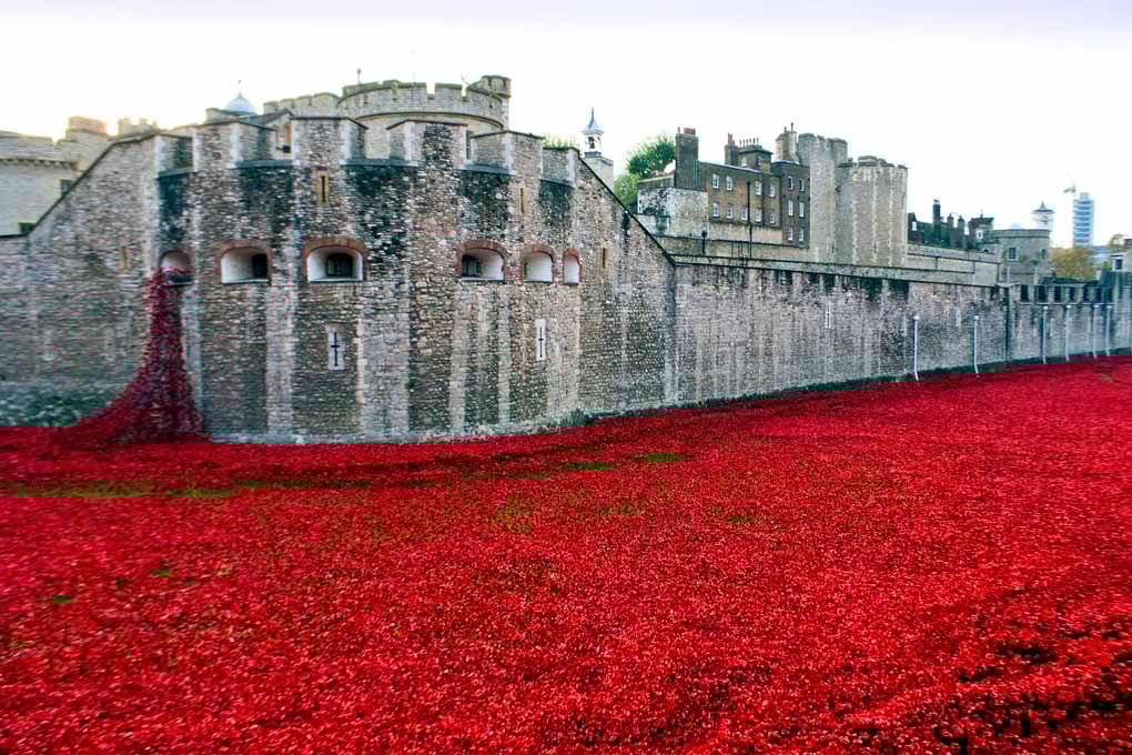 Tower of London Red Poppies England UK Photograph Print