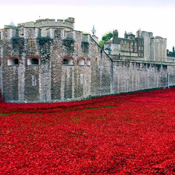 Tower of London Red Poppies England UK Photograph Print