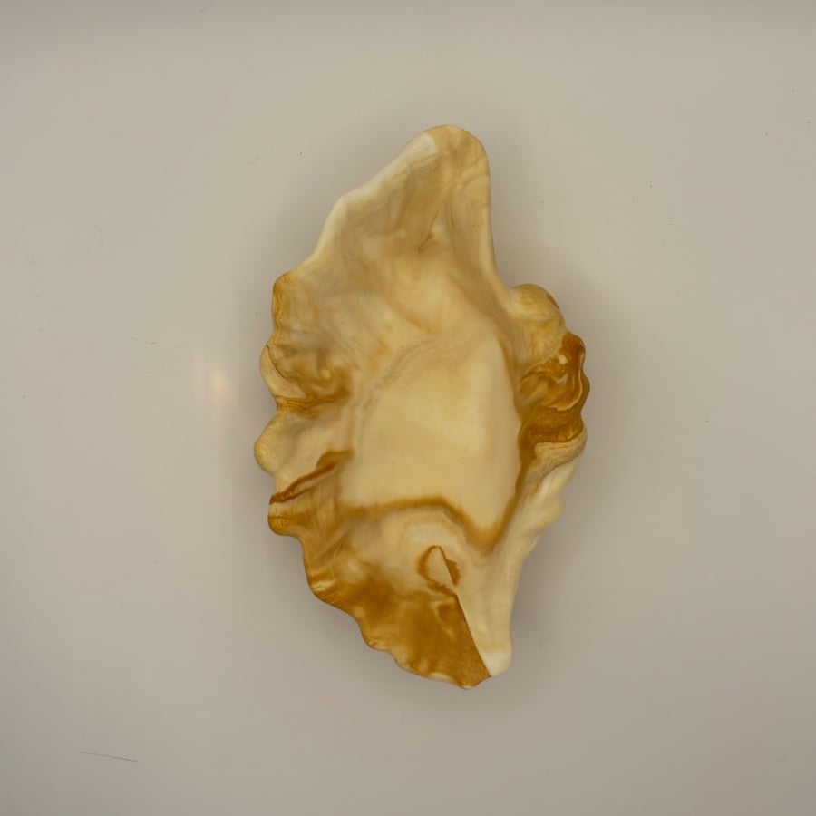 Eco resin shell shaped trinket tray