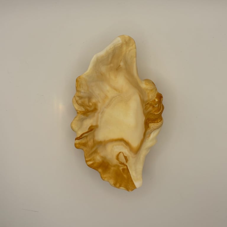Eco resin shell shaped trinket tray