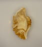 Eco resin shell shaped trinket tray