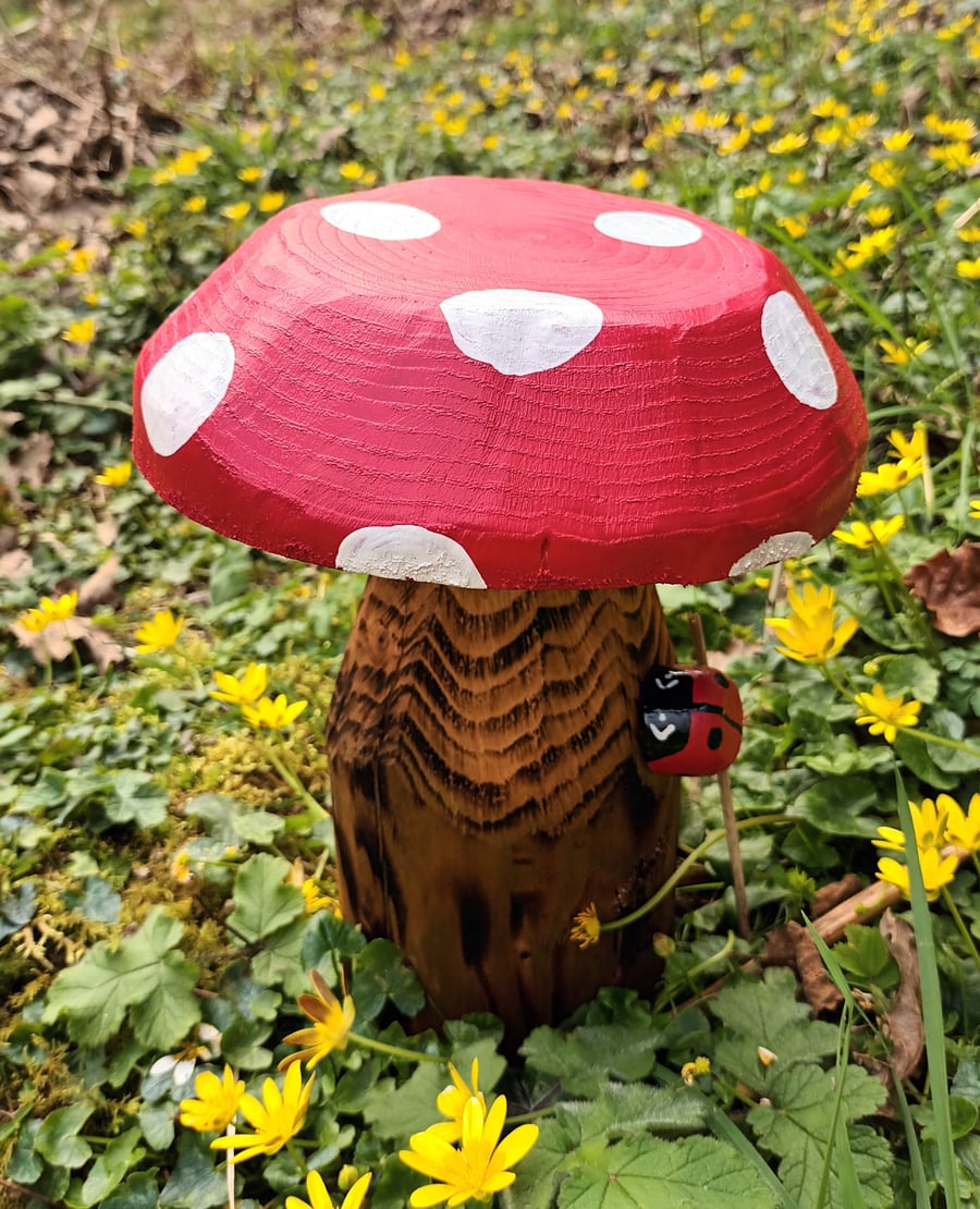 Ladybird on Red Toadstool