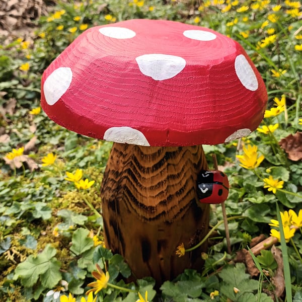 Ladybird on Red Toadstool