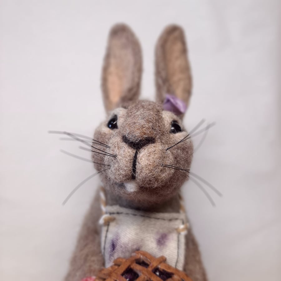 Bramble Pie Bunny