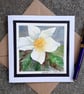 Blank Christmas Card. Hellebore, Christmas Rose Handpainted Watercolour Keepsake