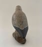 Dunlin - Image 5