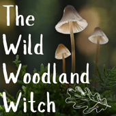 The Wild Woodland Witch
