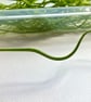 200g Mixed Green Bullseye 90 coe glass Vitrigraph stringers - Image 2