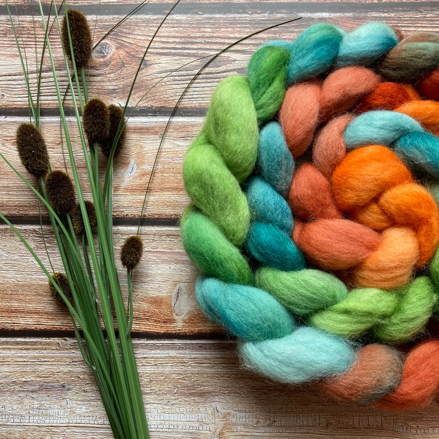 Kent Romney Spinning fibre 100g Copper Tree mirror gradient 