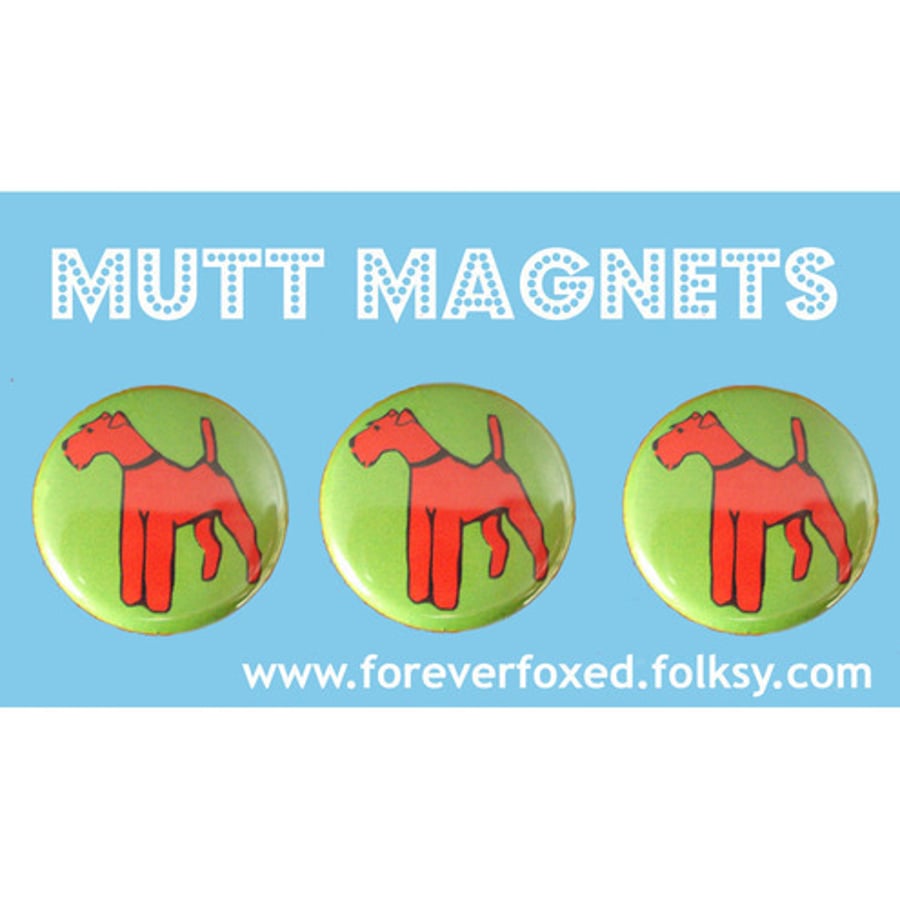 Irish Terrier Magnets