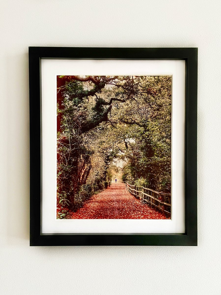 Framed Lone Figure in the Woods Photo, Forest Print, Kent, UK