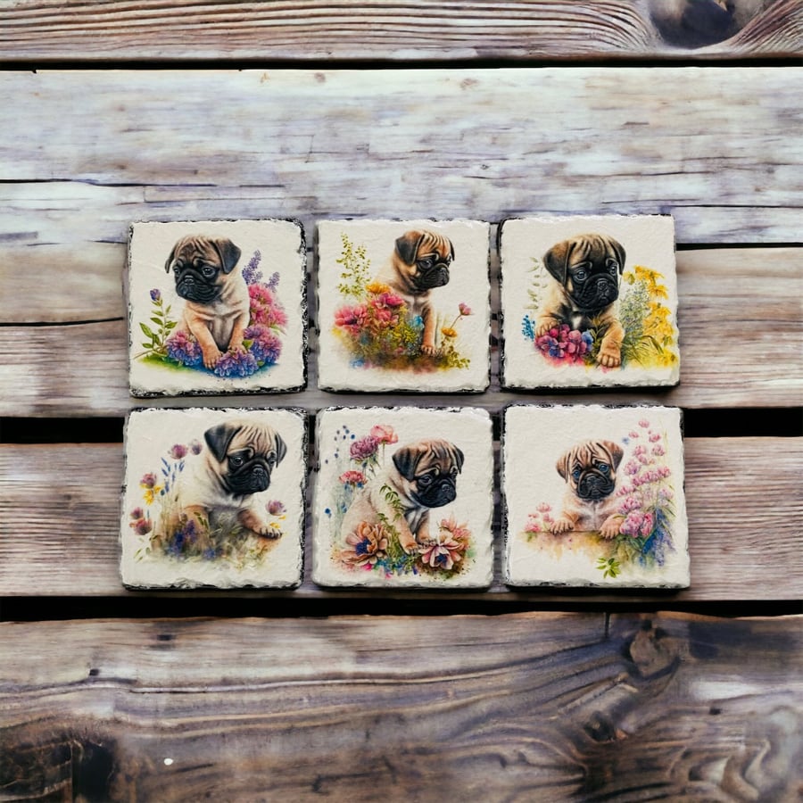 Pug puppy dog Coasters, set of 6 Slate Drink Coasters