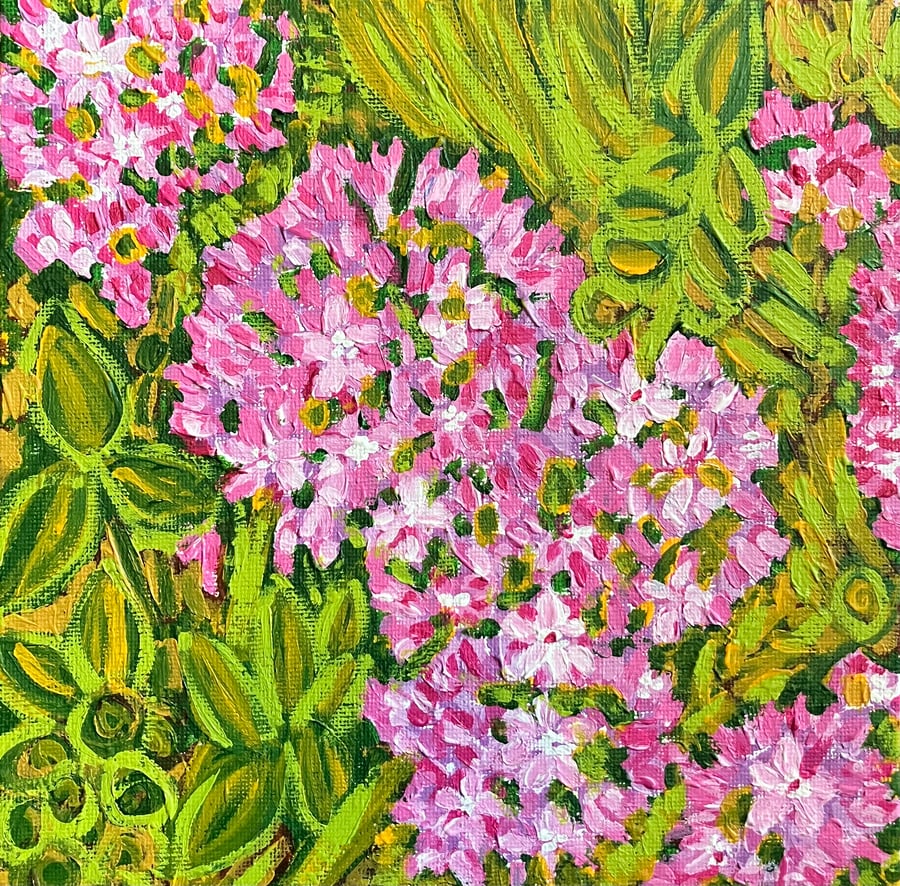 Allium Eros pink flower painting 