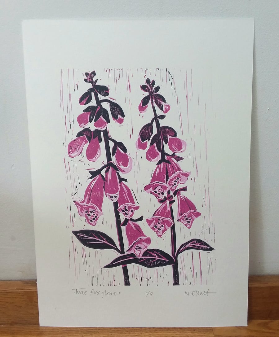 June foxgloves