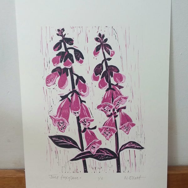 June foxgloves