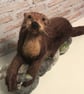 Otter with fish needle felting soft sculpture  - Image 1