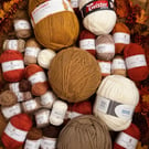 1500g Autumn Yarn Bundle Mixed DK Knitting Crochet Yarn Warm Autumn Colours
