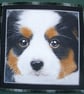 Bernese Mountain Puppy Portrait cushion - Image 3