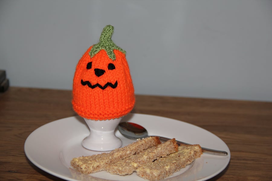 Halloween Pumpkin Cosy