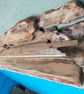 Blitz Timber 6 - Image 3