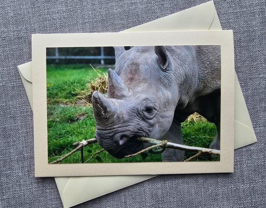 Rhino Large Photographic Card Size 7" x  5" (18cm x 13cm)