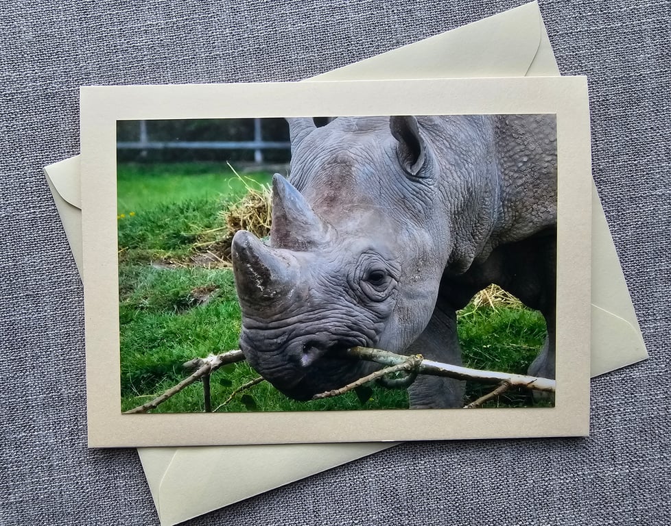 Rhino Large Photographic Card Size 7" x  5" (18cm x 13cm)