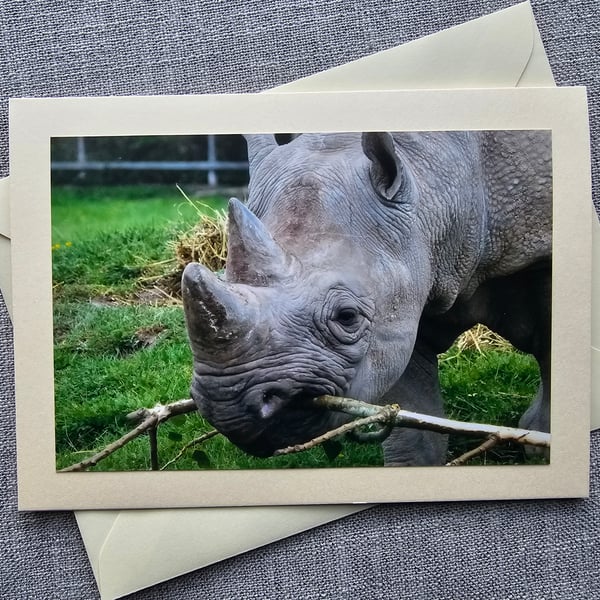 Rhino Large Photographic Card Size 7" x  5" (18cm x 13cm)