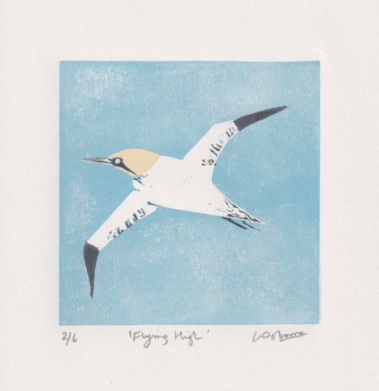Flying High - original linocut of a gannet - coastal bird