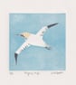 Flying High - original linocut of a gannet - coastal bird