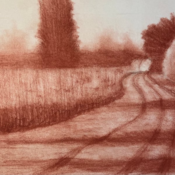 Bluebell woods - Original sanguine chalk drawing fully mounted 12” x 10”