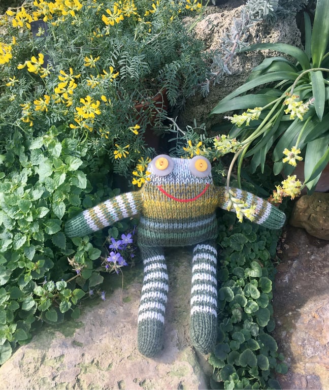 Frog had knitted doll