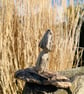Driftwood toadstool - Image 3