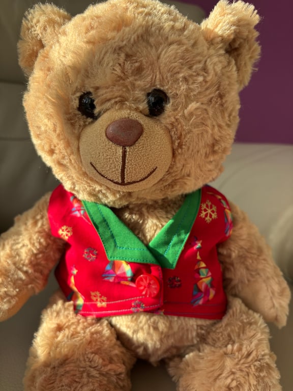 Red Christmas Tree Teddy Waistcoat 