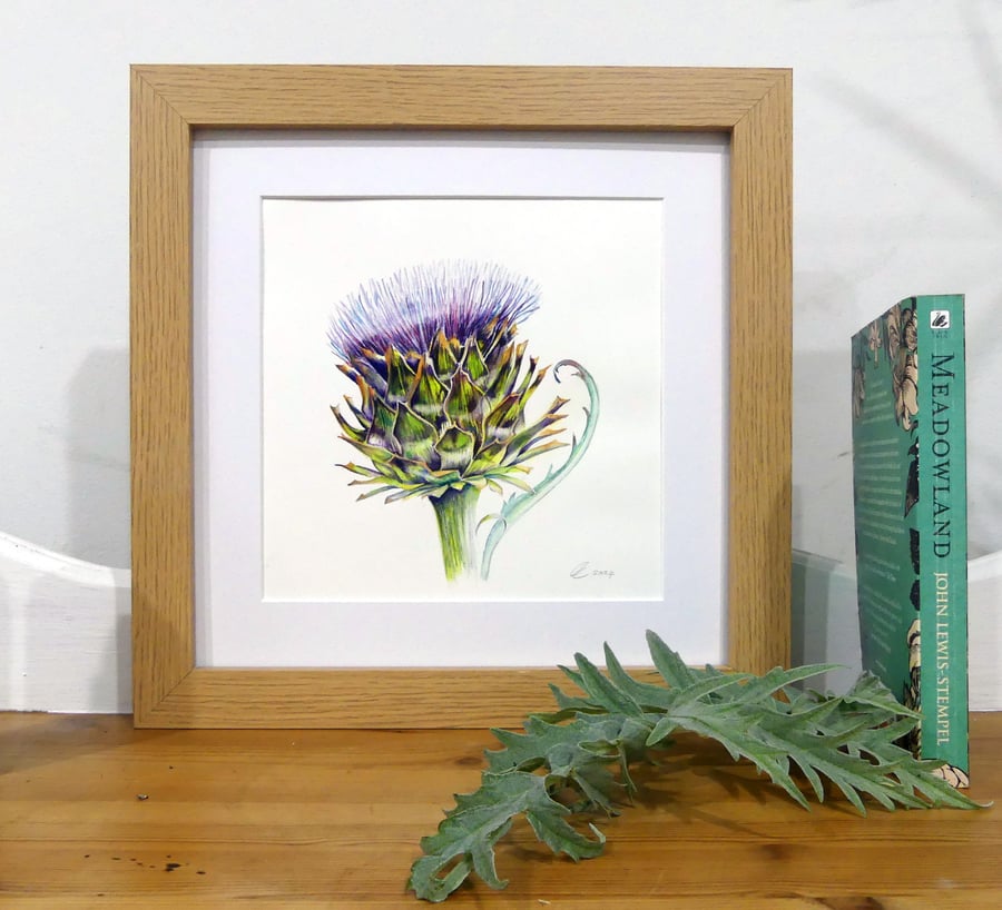 Framed Artichoke Botanical Watercolour Painting - Purple Vegetable Fine Artwork