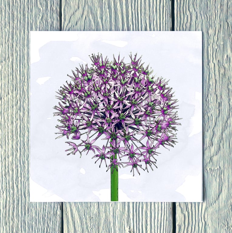 Allium Flower, Greetings Card