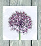 Allium Flower, Greetings Card
