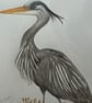 Perfectly Imperfect Great Blue Heron Pencil Drawing 9x12 - Image 5