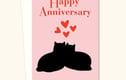 Cat Cards