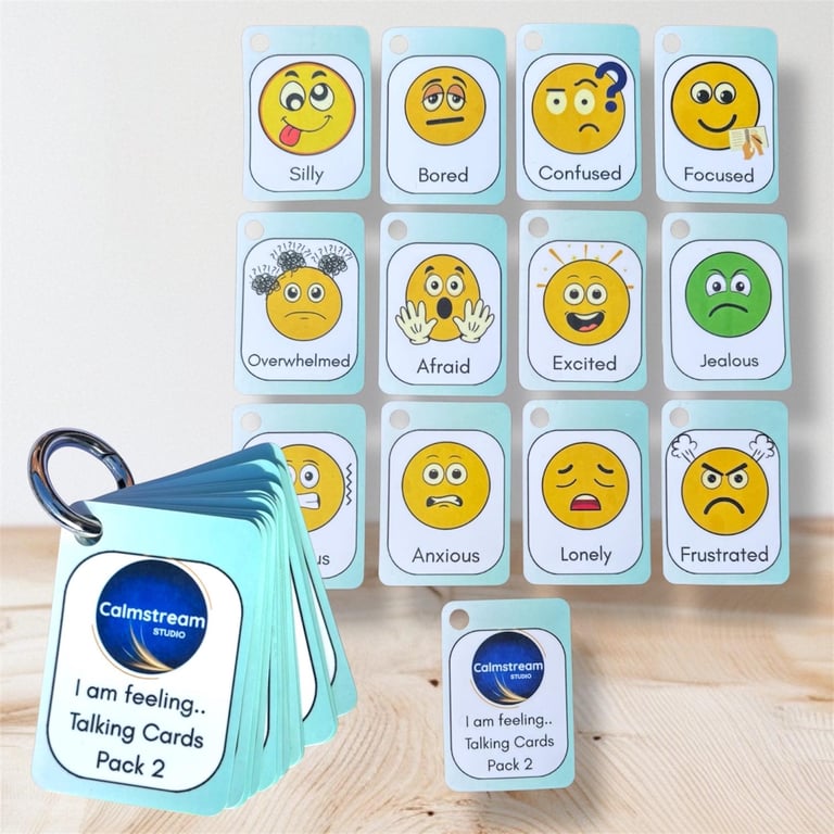 Advanced Emotions Keyring Autism, ADHD Visual Aid (Set 2)
