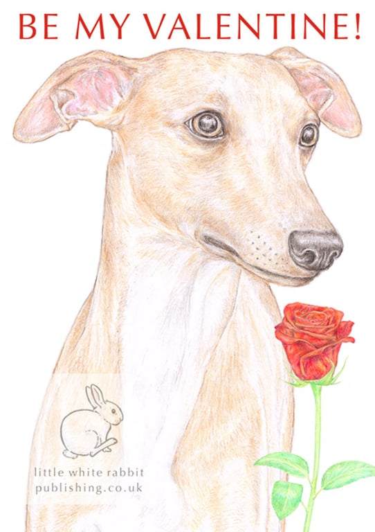 Oscar the Whippet - Valentine Card